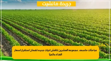 مباحثات حاسمة.. مجموعة العشرين تناقش أدوات جديدة لضمان استقرار أسعار الغذاء عالميًا 1